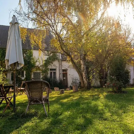 Rhein River Guesthouse - direkt am Rhein-2
